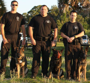 K9 Police Trainer Degree