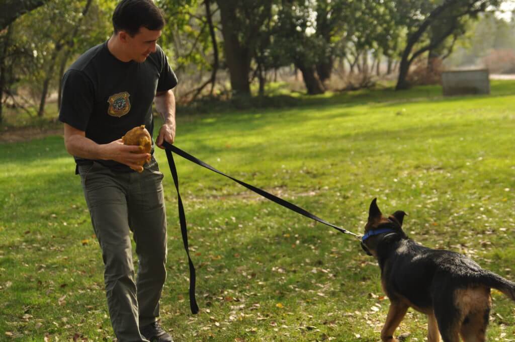 aggressive-dog-training-call-818-290-9411-818-857-8754